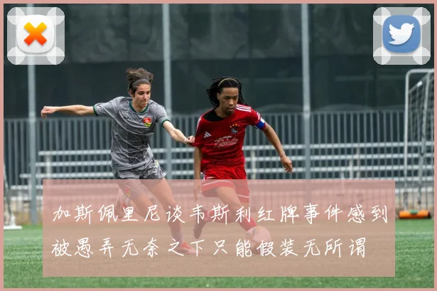 加斯佩里尼谈韦斯利红牌事件感到被愚弄无奈之下只能假装无所谓